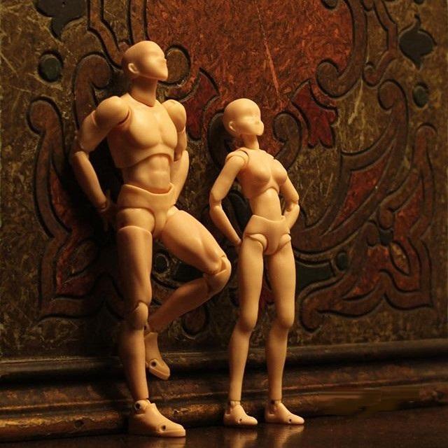 Body-kun + Body-chan - Chair - Offre Groupée 2 En 1 - Body Kun Figurine