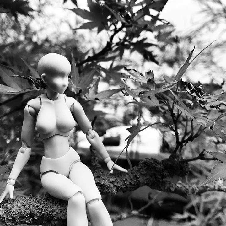 Body Chan Mannequin De Dessin - Body Kun Figurine